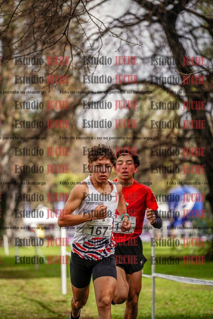 Fotos en el circuito