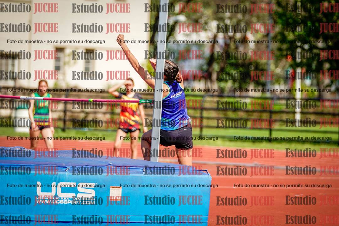 Fotos del salto en alto