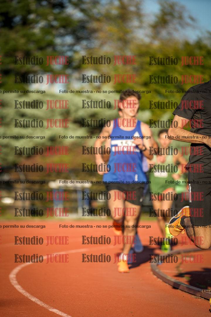 Fotos de los 3000 m llanos de varones