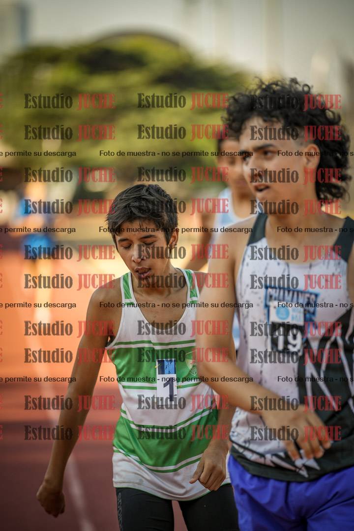 Fotos de los 800 m llanos de varones