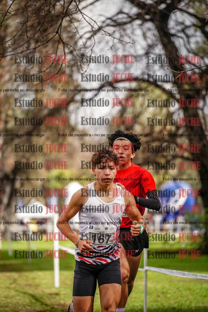 Fotos en el circuito