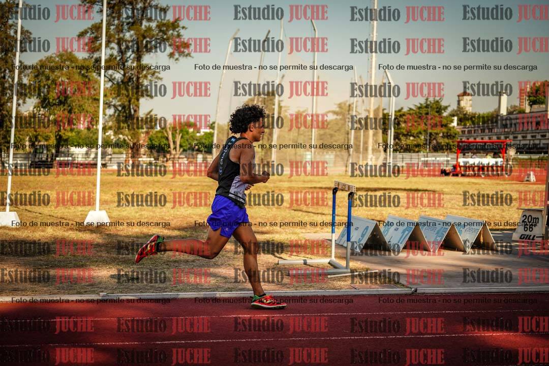 Fotos de los 800 m llanos de varones