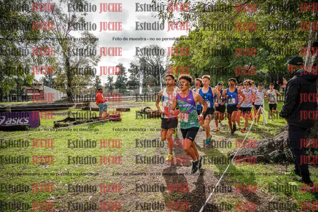 Fotos en el circuito
