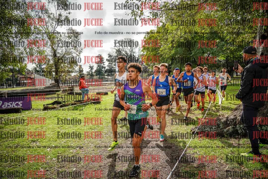Fotos en el circuito