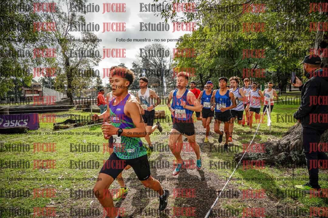 Fotos en el circuito