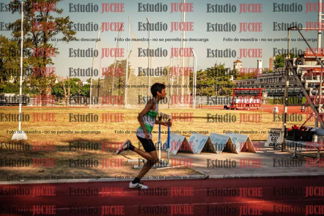 Fotos de los 800 m llanos de varones