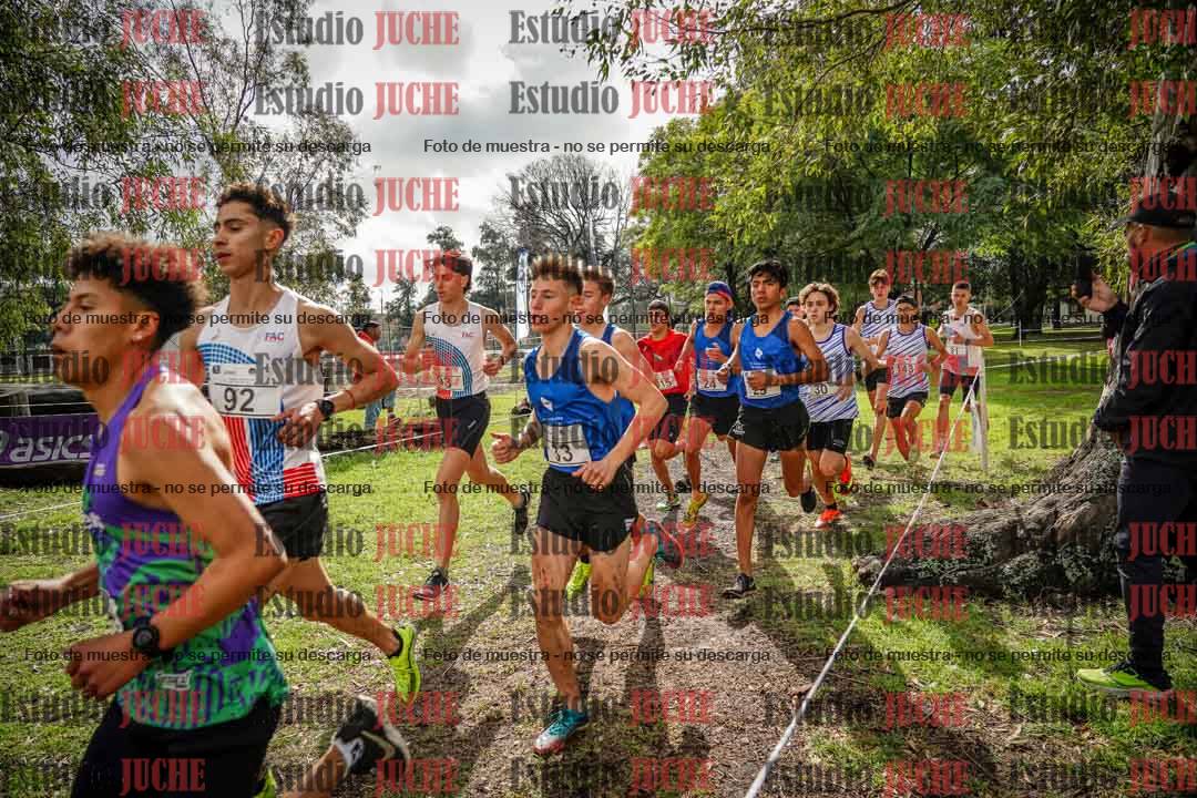 Fotos en el circuito
