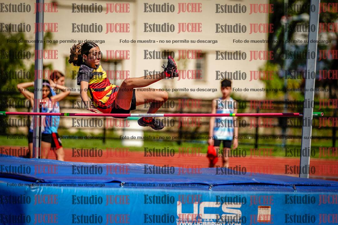 Fotos del salto en alto
