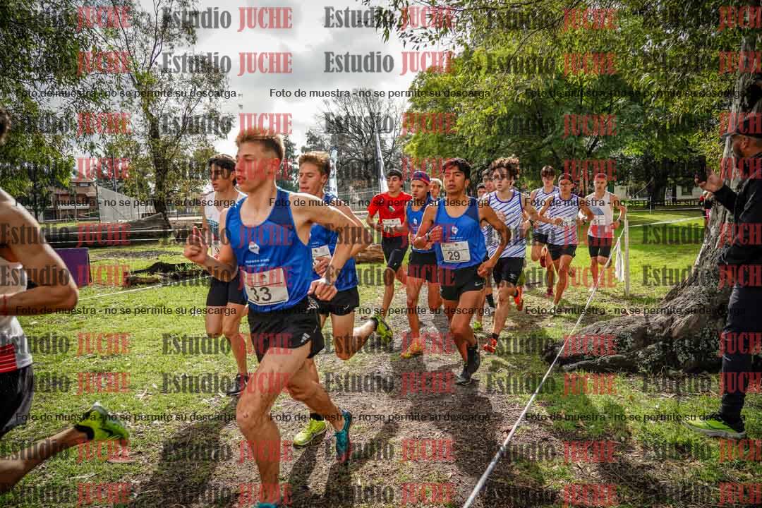 Fotos en el circuito
