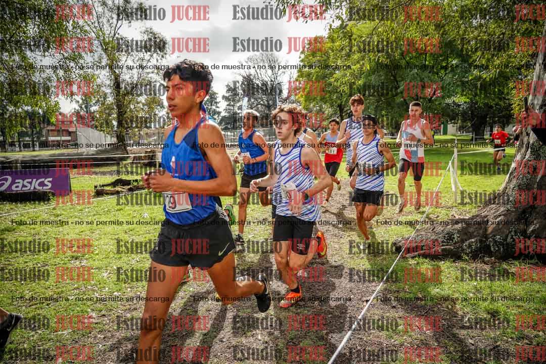 Fotos en el circuito
