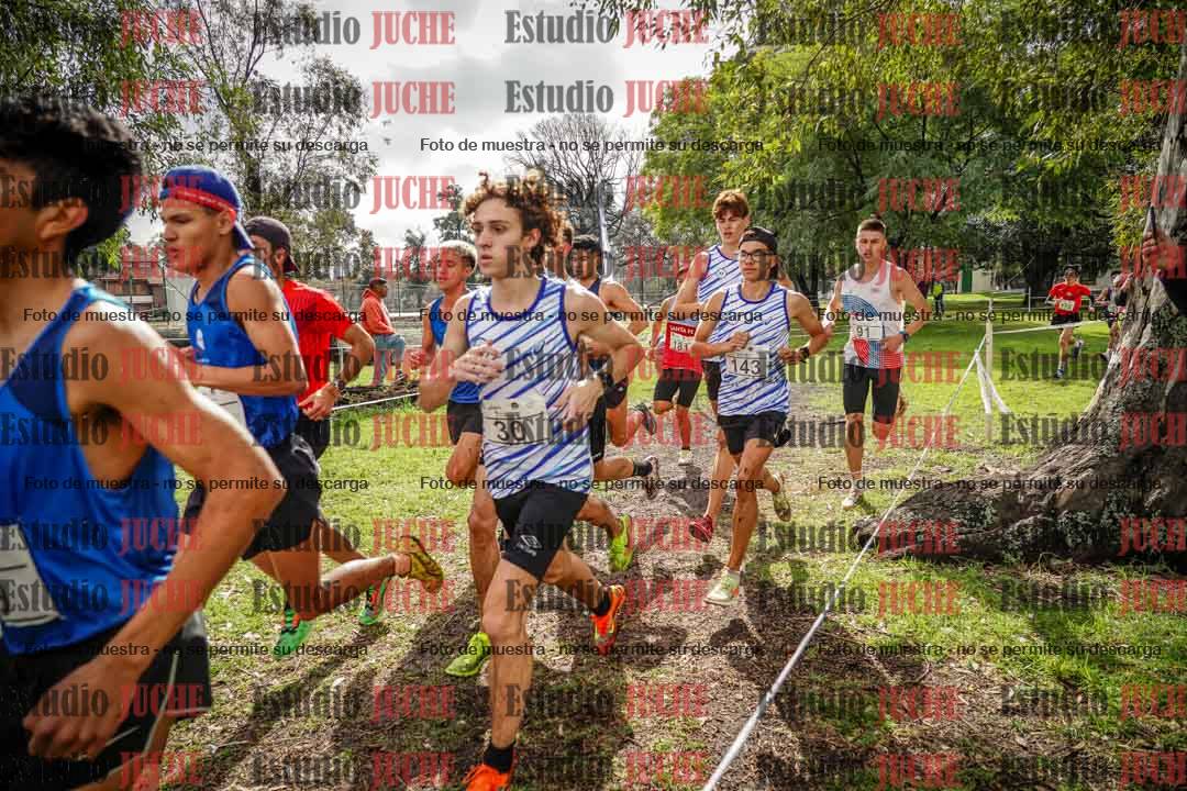 Fotos en el circuito
