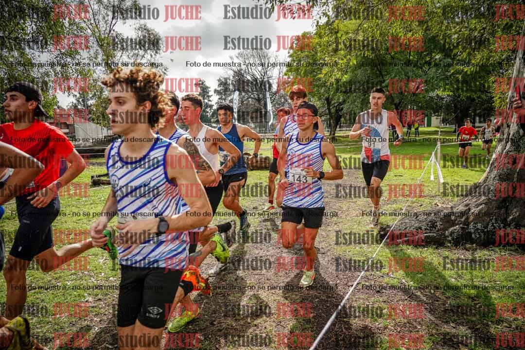 Fotos en el circuito