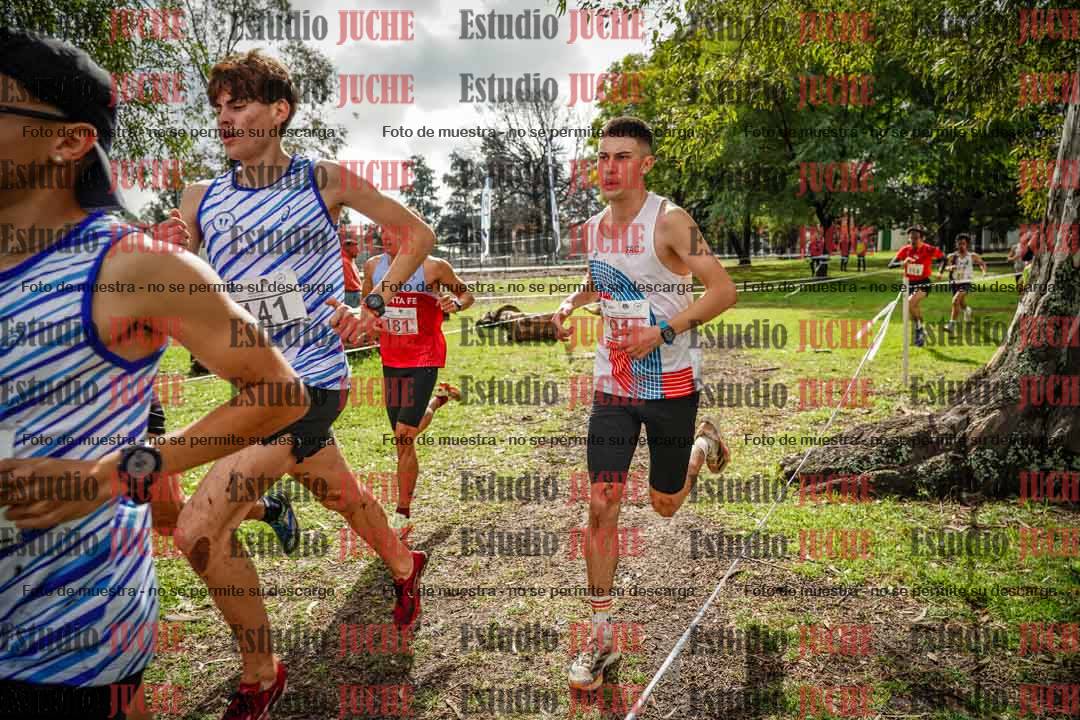 Fotos en el circuito