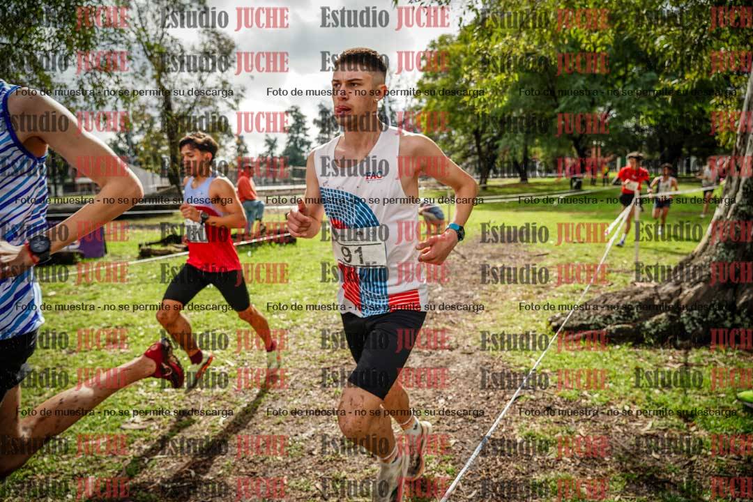 Fotos en el circuito
