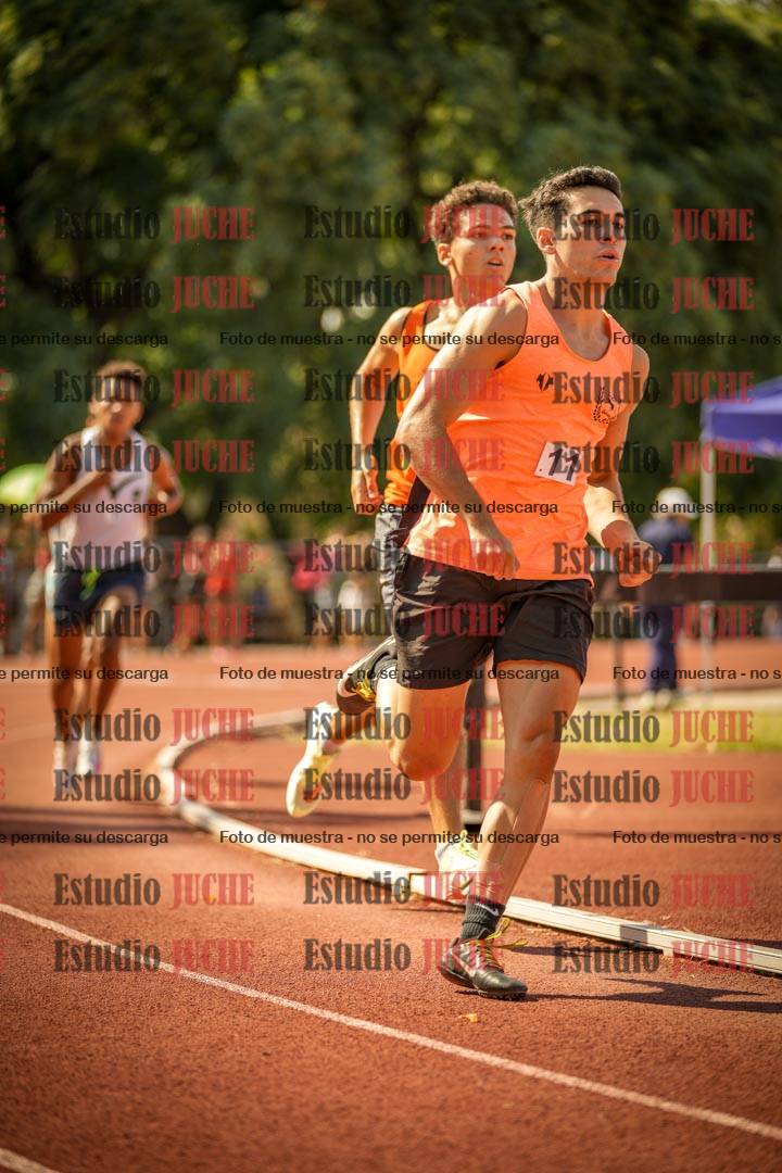 Fotos de los 800 m llanos de varones