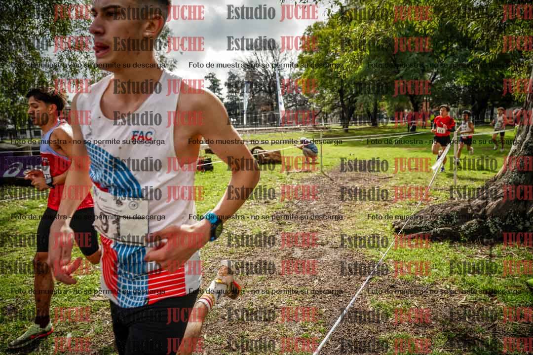 Fotos en el circuito