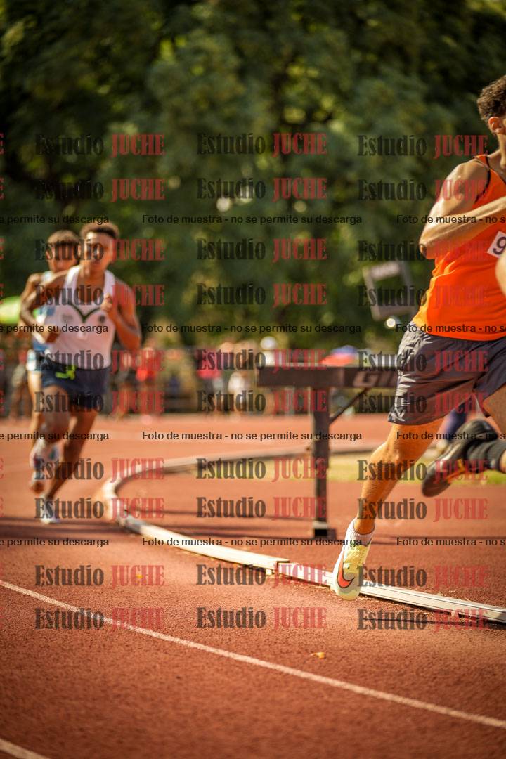 Fotos de los 800 m llanos de varones