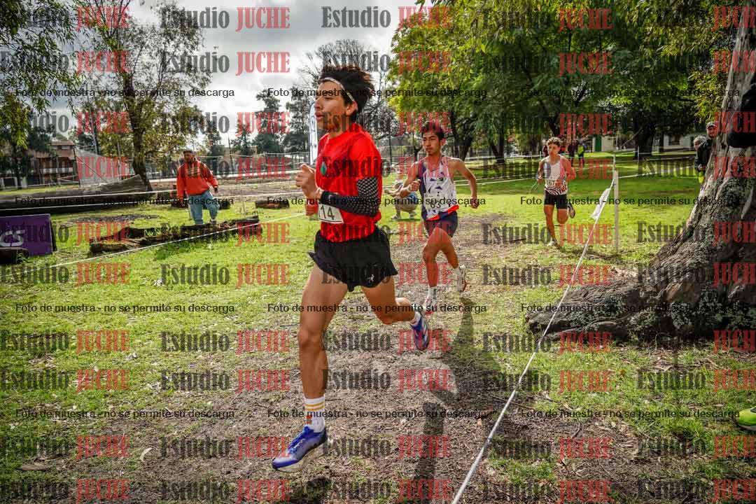 Fotos en el circuito