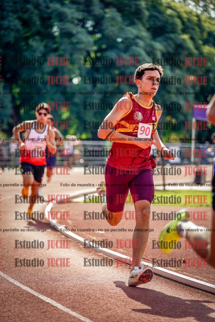Fotos de los 800 m llanos de varones