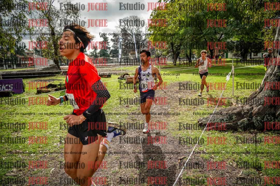 Fotos en el circuito