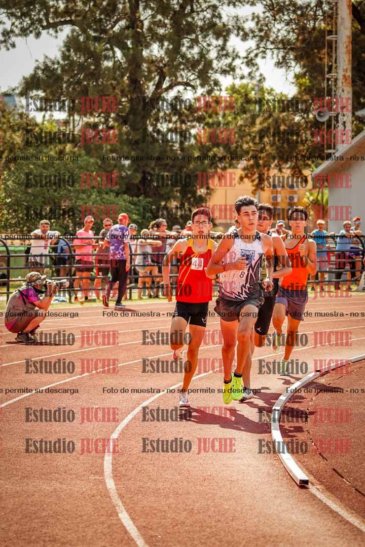 Fotos de los 800 m llanos de varones