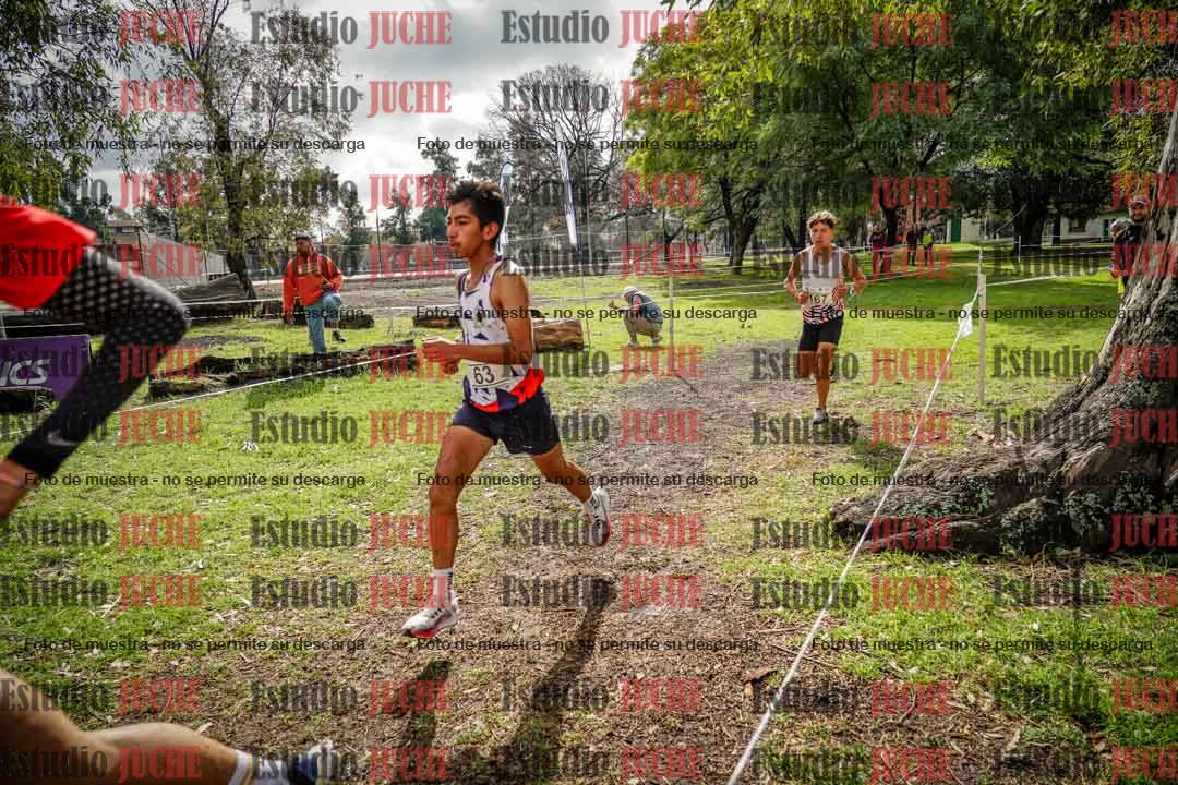 Fotos en el circuito