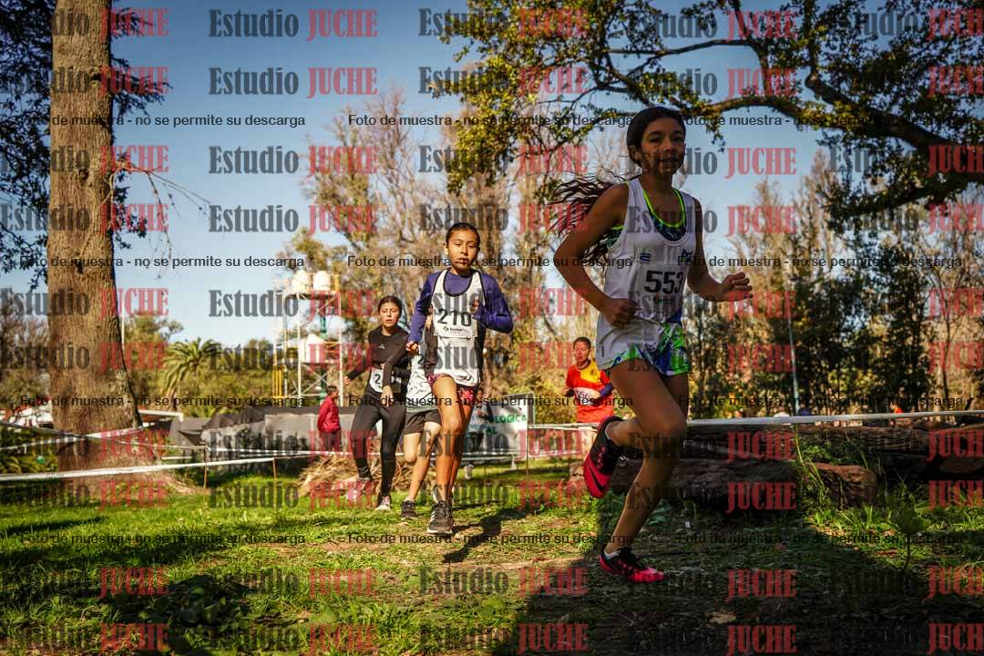 Fotos en el segundo punto del circuito
