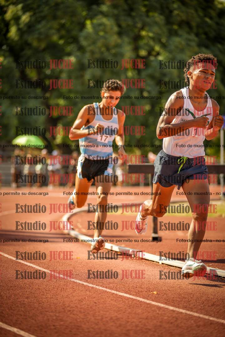 Fotos de los 800 m llanos de varones