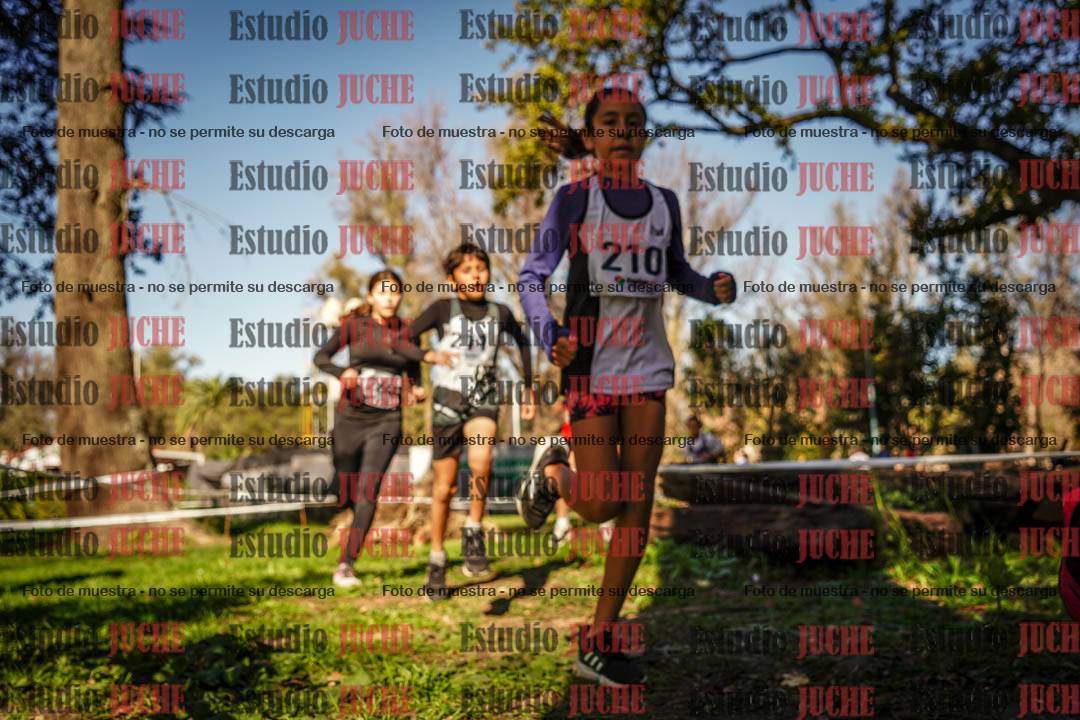Fotos en el segundo punto del circuito