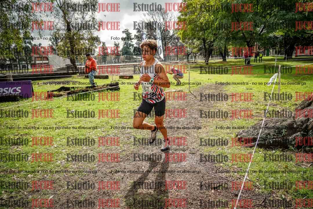 Fotos en el circuito
