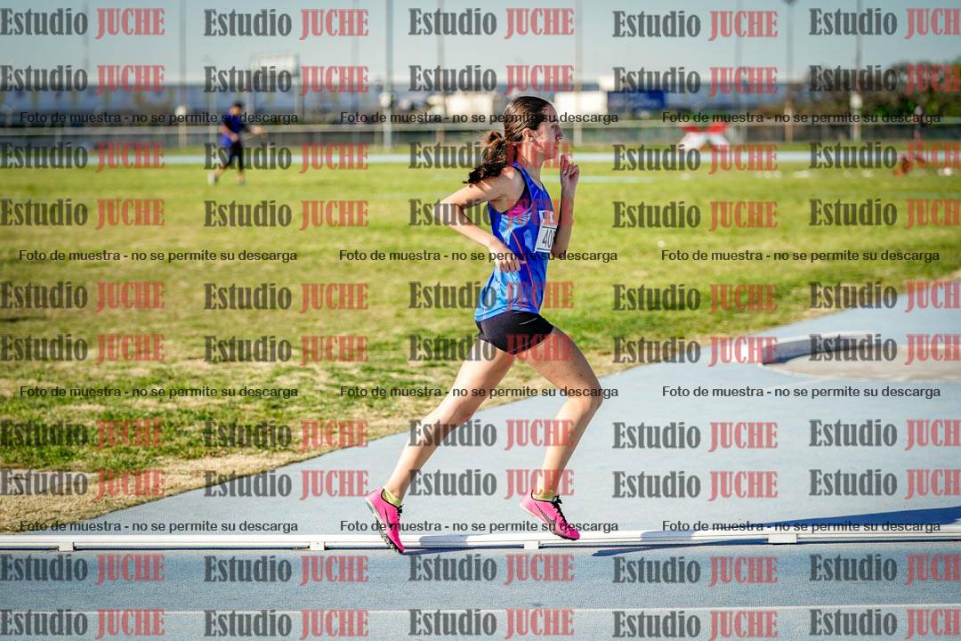 Fotos de los 1500 m llanos de mujeres