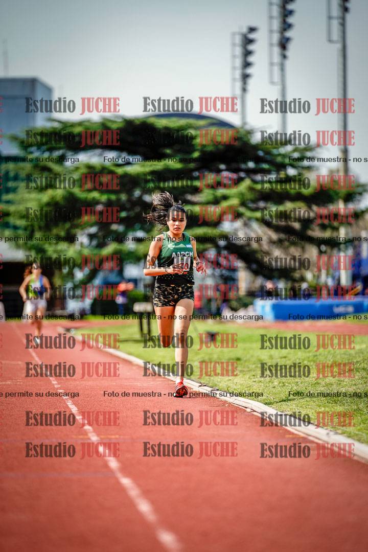 Fotos de los 3000 m llanos de mujeres
