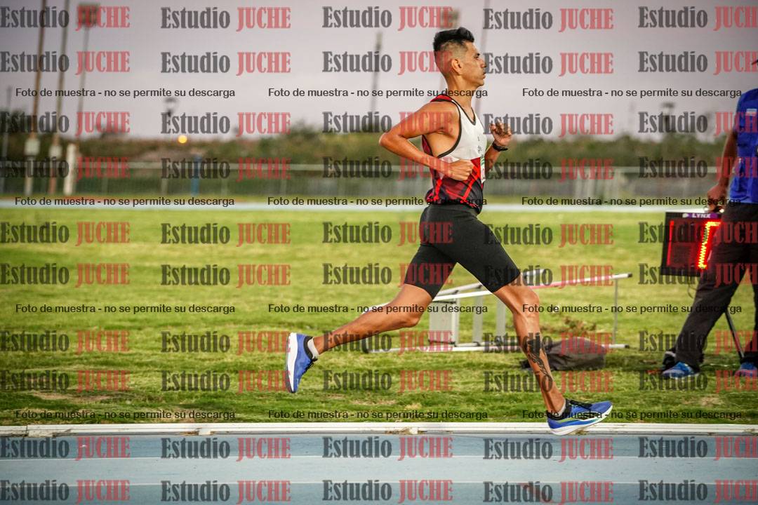 Fotos de los 3000 m llanos de varones