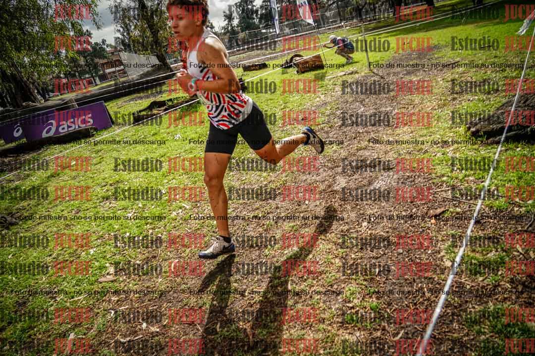 Fotos en el circuito