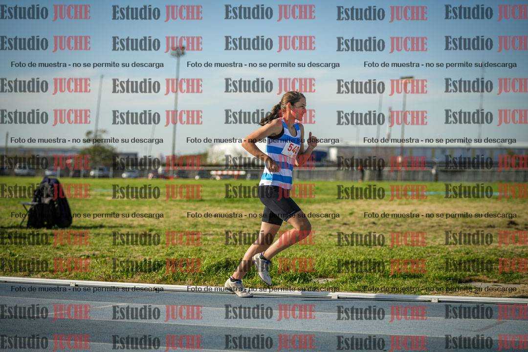 Fotos de los 1500 m llanos de mujeres