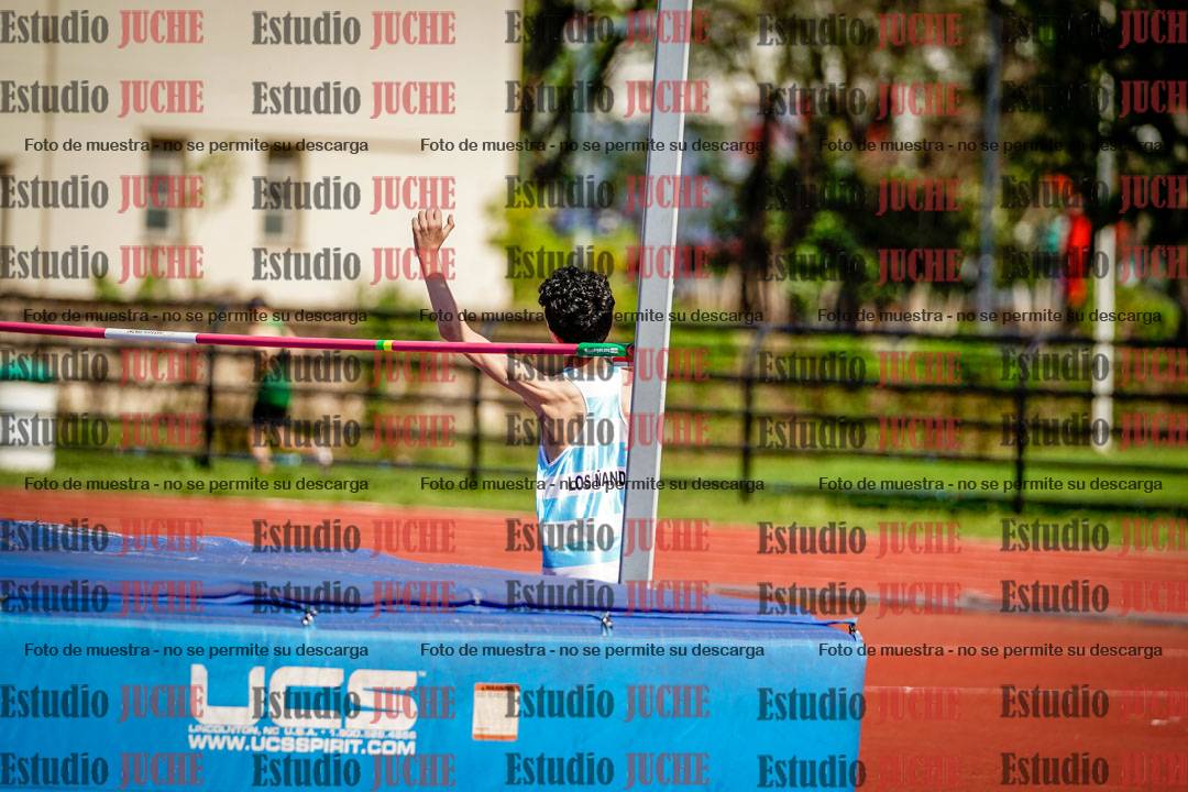 Fotos del salto en alto