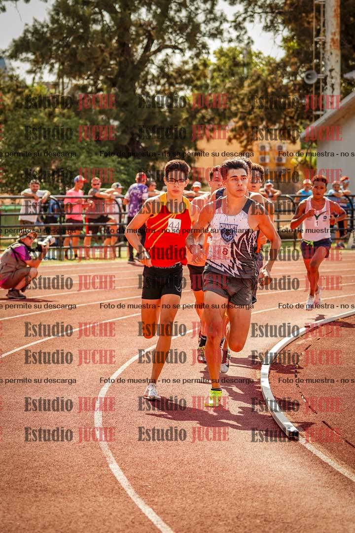Fotos de los 800 m llanos de varones