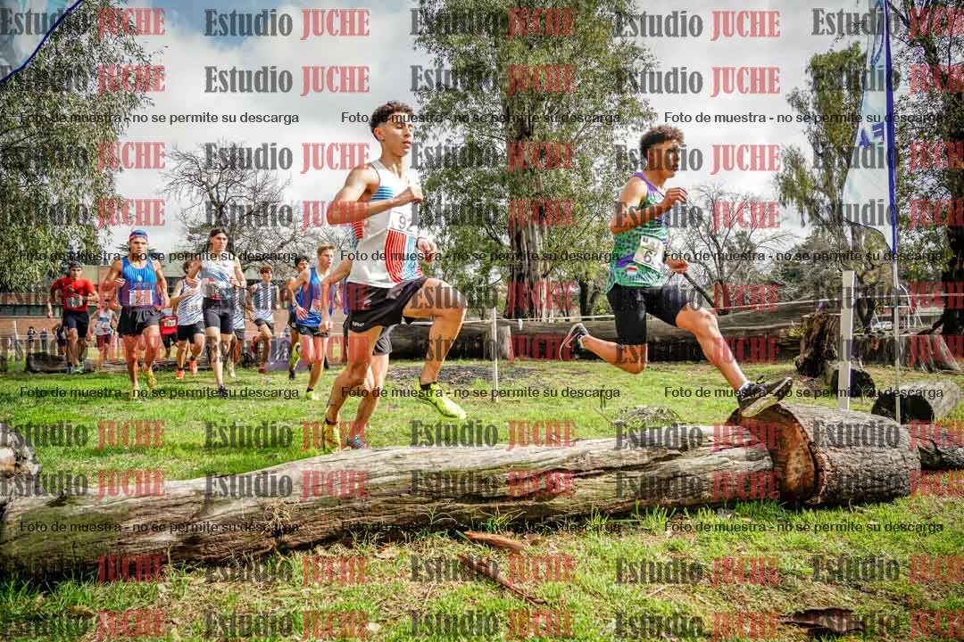 Fotos en el circuito