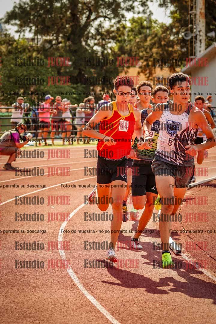 Fotos de los 800 m llanos de varones