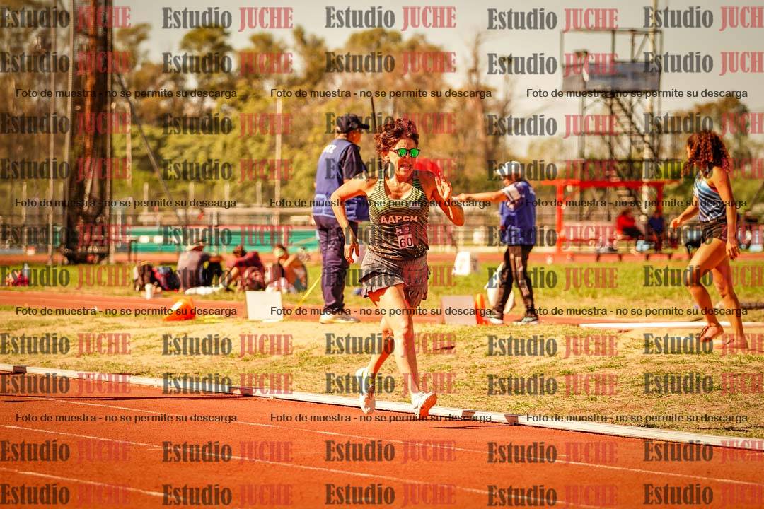 Fotos de los 800 m llanos de mujeres