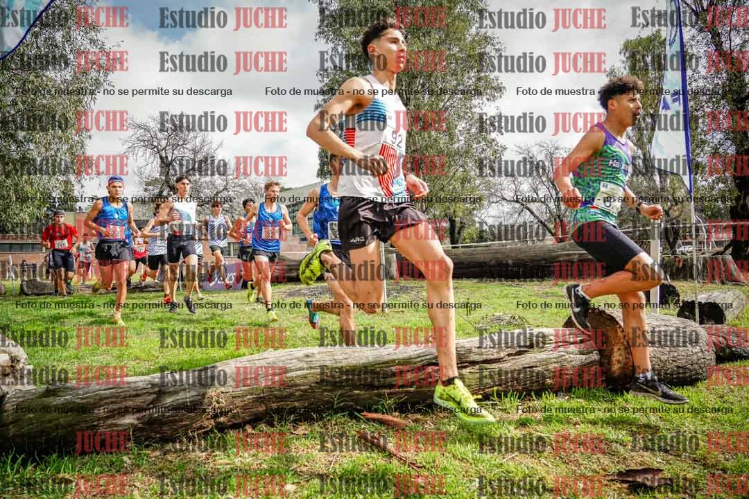 Fotos en el circuito