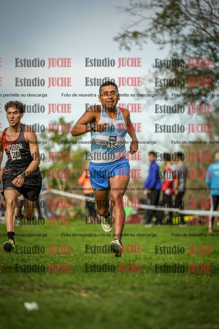 Fotos de la llegada del cross de 8000 m