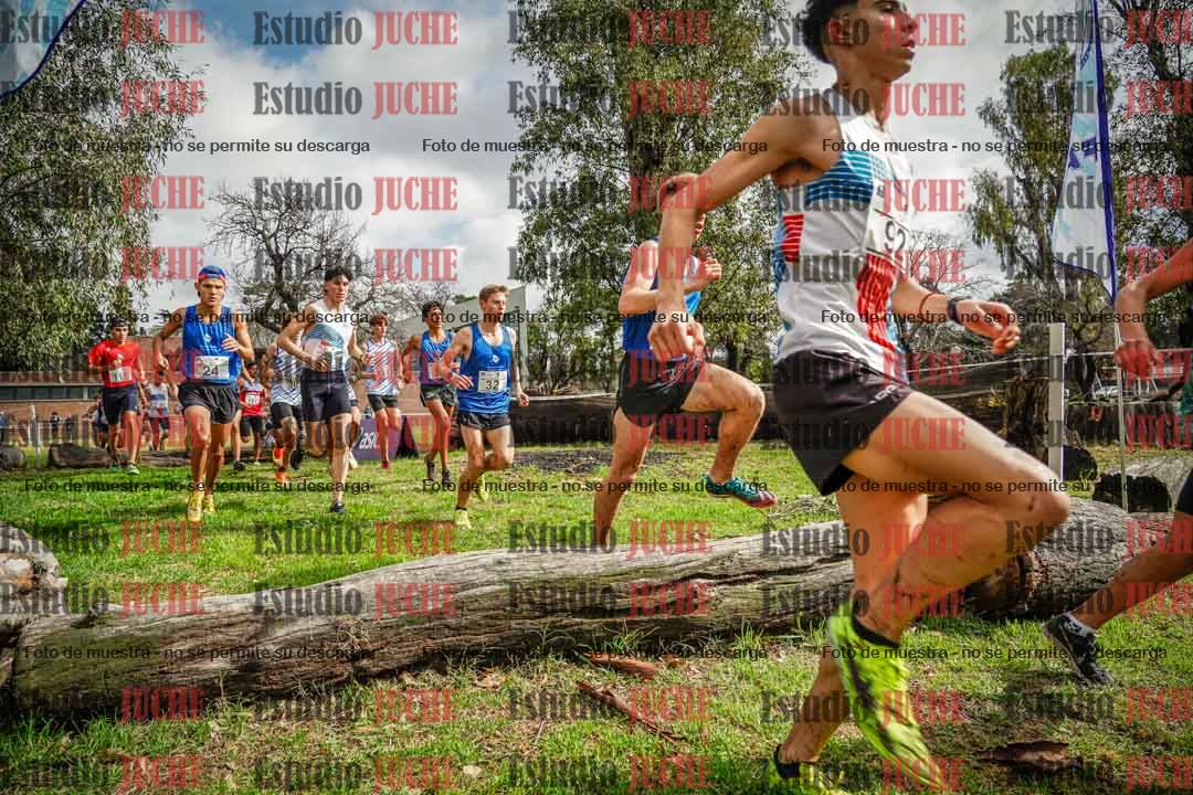 Fotos en el circuito