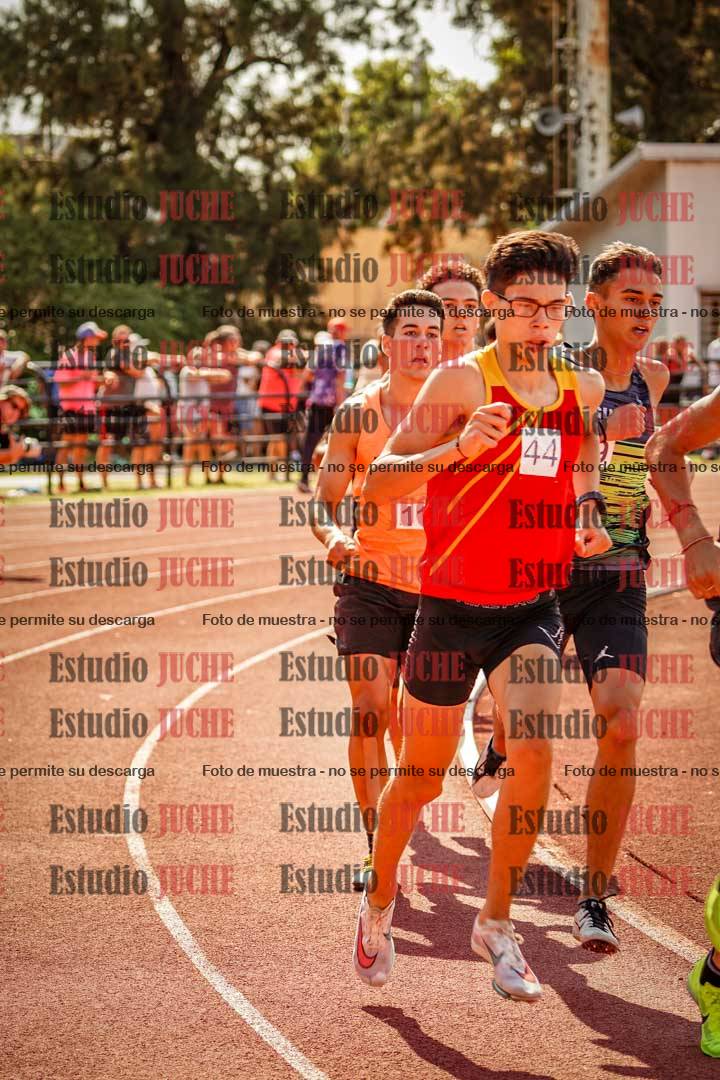 Fotos de los 800 m llanos de varones
