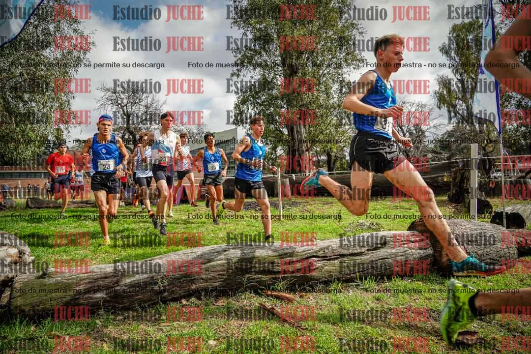 Fotos en el circuito
