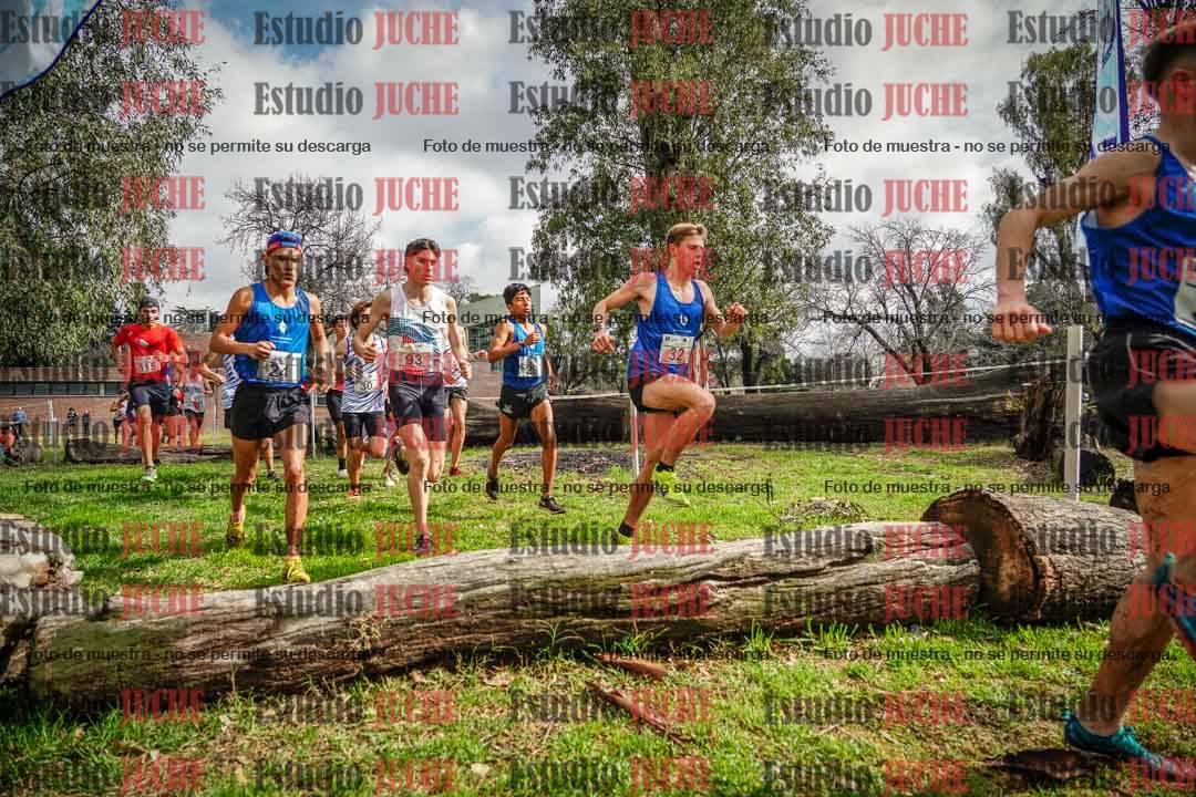 Fotos en el circuito