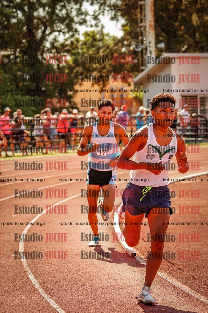 Fotos de los 800 m llanos de varones