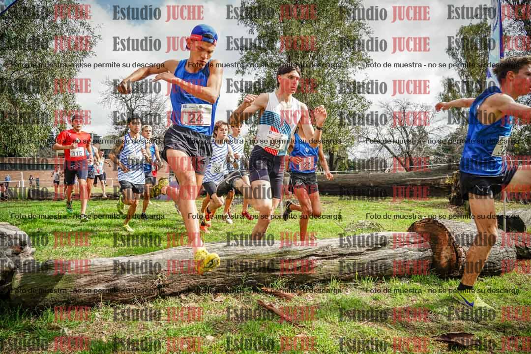 Fotos en el circuito
