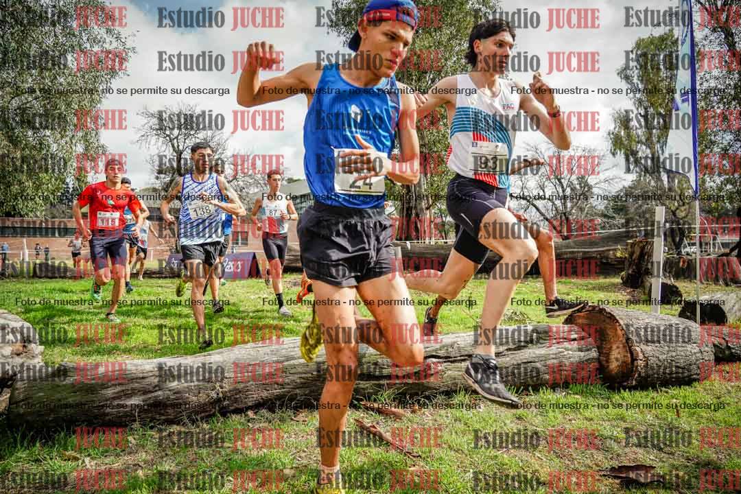 Fotos en el circuito