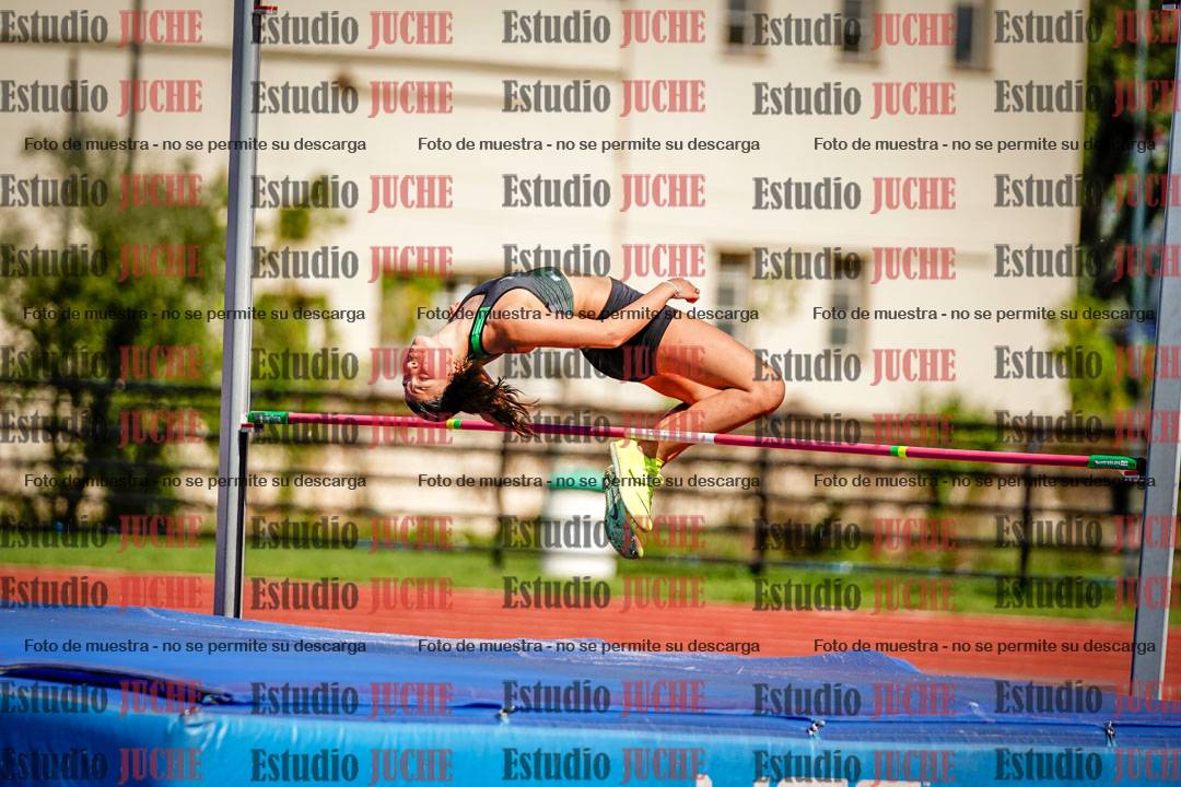Fotos del salto en alto